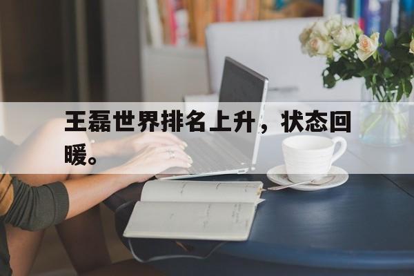 半岛.体育（中国）-王磊世界排名上升，状态回暖。