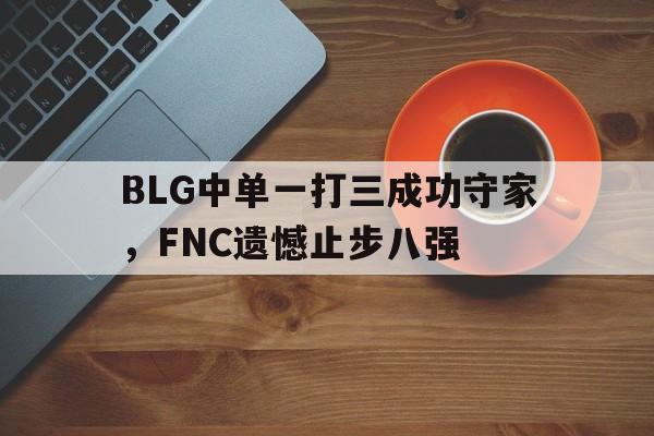 半岛.体育-BLG中单一打三成功守家，FNC遗憾止步八强
