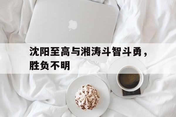 半岛.体育-沈阳至高与湘涛斗智斗勇，胜负不明
