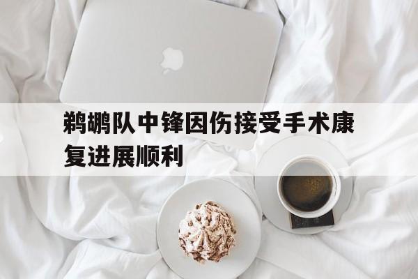 半岛.体育（中国）-鹈鹕队中锋因伤接受手术康复进展顺利